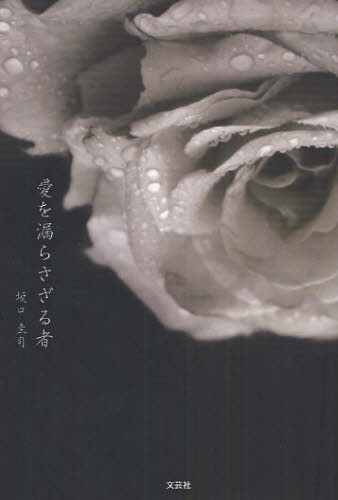 Paperbacks （Literature） - 愛を漏らさざる者