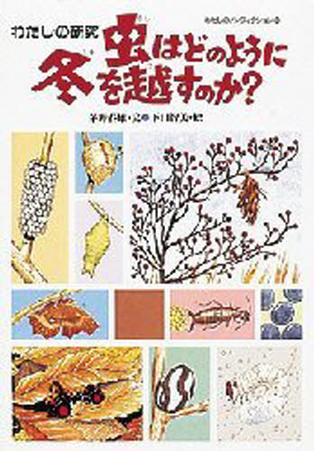 虫はどのように冬を越すのか? わたしの研究