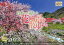 カレンダー ’23 日本一美しい花風景を