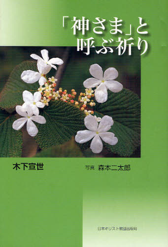 木下宣世／著 森本二太郎／写真本詳しい納期他、ご注文時はご利用案内・返品のページをご確認ください出版社名日本キリスト教団出版局出版年月2009年06月サイズ94P 20cmISBNコード9784818407145文芸 詩・詩集 詩・詩集その他「神さま」と呼ぶ祈りカミサマ ト ヨブ イノリ※ページ内の情報は告知なく変更になることがあります。あらかじめご了承ください登録日2013/11/25