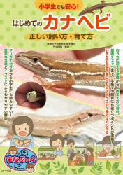 小学生でも安心!はじめてのカナヘビ正しい飼い方・育て方