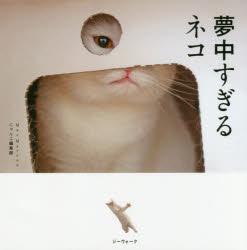 Mac Marron／著 にゃんこ編集部／編集その他詳しい納期他、ご注文時はご利用案内・返品のページをご確認ください出版社名ロングランドジェイ出版年月2018年05月サイズ92P 16×16cmISBNコード9784862977854芸術 アート写真集 ペット写真集夢中すぎるネコムチユウスギル ネコ※ページ内の情報は告知なく変更になることがあります。あらかじめご了承ください登録日2018/04/26
