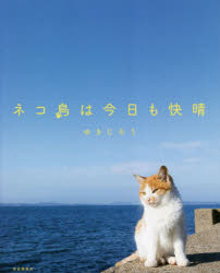 ネコ島は今日も快晴