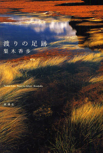 袖珍书（随笔） - 渡りの足跡