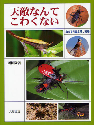 天敵なんてこわくない 虫たちの生き残り戦略