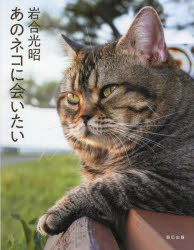 あのネコに会いたい