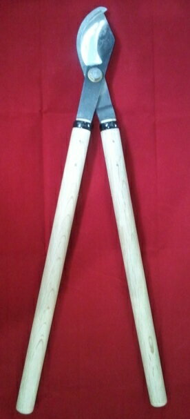 ������ SK���ݡ�����