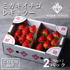 https://thumbnail.image.rakuten.co.jp/@0_mall/migaki-ichigo/cabinet/item/09970049/imgrc0150954506.jpg