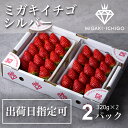 【出荷日指定可】いちご ミガキイチゴ シルバー（お礼ギフト/大粒）2パック 320g×2