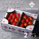 【送料無料】【出荷日指定可】いちご ミガキイチゴ レギュラー(ご自宅用) 2パック 250g×2 日付指定 とちおとめ よつぼし ハナミガキ すず 母の日 卒業...