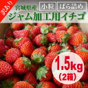 【日時指定可】宮城県産/ジャム加工用イチゴ（小粒、ばら詰め）2箱(1.50kg)手作りジャム用 いちごジャム用 山元町 農場直送 新鮮 いちご 苺 バラ詰め とちおとめ よつぼし ハナミガキ 発送日指定 日付指定 ケーキ用