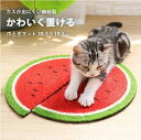 猫 つめとぎ オシャレ 置き型 壁 保護 床置き しつけ 猫 爪とぎ 爪 とぎ 爪とぎパッド 麻紐 猫 爪とぎ かわいい 猫雑貨 可愛い ペット雑貨 ペット ペット おしゃれ インテリア 北欧 かわいい つめとぎ 室内 ねこ ネコ おもちゃ お手入れ