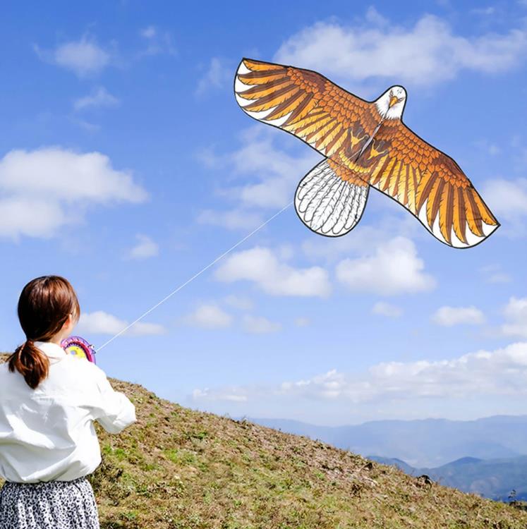 カイト 凧 凧揚げ シングルカイト バイオカイト 子供 大人と初心者のための凧　たこあげ　イーグルカイト