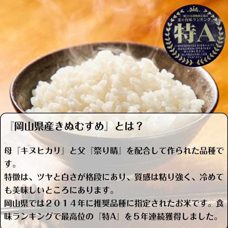 きぬむすめ 20kg 岡山県産 【令和3年産】 精米 (5kg×4袋）送料無料 白米 晴れの国 単一原料米 食味ランキング 特A 米 【北海道・沖縄発送不可】 【 防虫 鷹の爪プレゼント 】