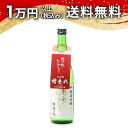 東洋美人 純米吟醸 醇道一途 亀の尾 槽垂れ 本生酒 720ml 2024年3月詰め 日本酒 御中元 暑中見舞い 手土産 ホワイトデー お返し 贈り物 プレゼン...