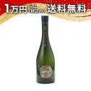 飛鸞 ひらん 輪廻転生 2025 無濾過 生原酒 720ml 日本酒 御中元 暑中見舞い 手土産 ホワイトデー お返し 贈り物 プレゼント あす楽 ギフト のし 贈答品 お祝 御祝 誕生日 内祝 還暦祝い 結婚祝い 出産祝い お酒 就職祝 退職祝