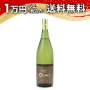 ちえびじん 生もと 純米酒 一度火入れ 1800ml 2024年10月詰め 日本酒 御中元 暑中見舞い 手土産 ホワイトデー お返し 贈り物 プレゼント あす楽...