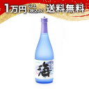 海 720ml 日本酒 父の日 母の日 2025 ホワイトデー お返し 贈り物 プレゼント あす楽 ギフト のし 贈答品 お祝 御祝 誕生日 内祝 還暦祝い 結...