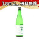 鳳凰美田 純米吟醸酒 無濾過本生 日光 ~NIKKO~ 720ml 2025年4月詰め 日本酒 御中元 暑中見舞い 手土産 ホワイトデー お返し 贈り物 プレゼント あす楽 ギフト のし 贈答品 お祝 御祝 誕生日 内祝 還暦祝い 結婚祝い 出産祝い お酒 就職祝 退職祝