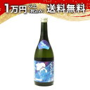 くどき上手 純米大吟醸 Jr.の未来33 生詰 720ml 日本酒 御中元 暑中見舞い 手土産 ホワイトデー お返し 贈り物 プレゼント あす楽 ギフト のし ...