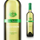 ソーヴィニョン・フレッシュ・コレクション 750ml 2019年《Sauvignon Flesh》  白・爽やかな辛口