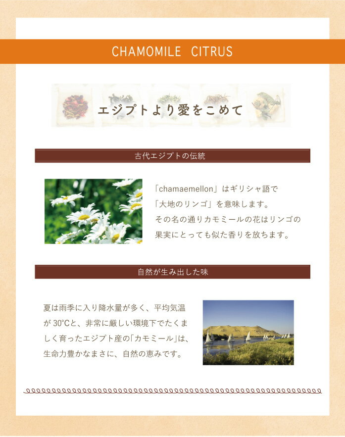 カモミールシトラス 100g マイティーリーフ...の紹介画像3