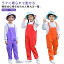 サロペット パンツ キッズ オーバーオール 夏 ロングパンツ カラーパンツ 子供 女の子 男の子 サロペットパンツ 長ズボン ダンス衣装 韓国子供服 幼稚園 保育園 小学生 演出服 ステージ服 夏服 春夏 子供服 100 110 120 130 140 150 160