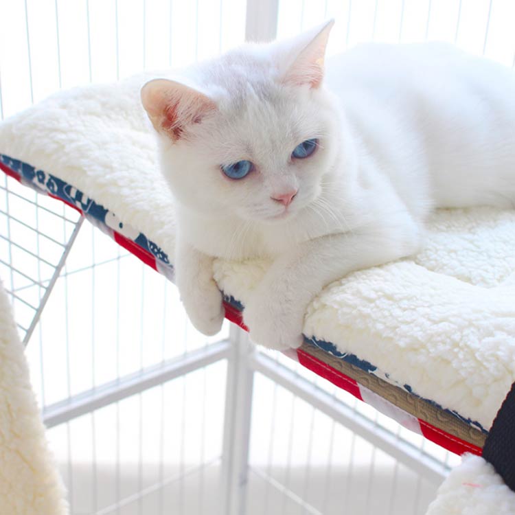 ペットマット 猫用ケージ ペットベッド 洗える クッション 秋冬 猫 ケージ用 フォ...