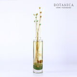 BOTANICA ボタニカ ウッドミスト ディフューザー スティック ガラスボトル OLD-029GR muguet 140ml ホーム アロマ ルーム フレグランス ドライフラワー 植物標本 誕生日 女の子 女性 新生活 プレゼント おすすめ ギフト 母の日 おしゃれ かわいい