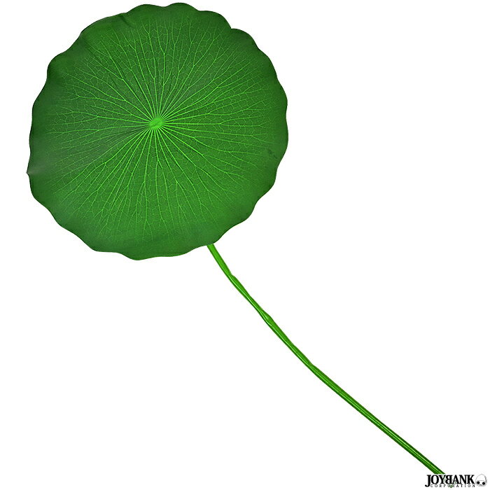 葉っぱ　ビッグサイズ　傘　ハスの葉　直径約60cm　かさ　コスプレ　ハロウィン　イベント 2