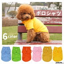 マルチカラーTシャツ M/L/DS/DM D's Chat-ディーズチャット- 犬服 ドッグウェア 小型犬 トイプードル チワワ ポメラニアン ダックス DS23SS