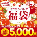 ご要望により12袋追加【体育の...