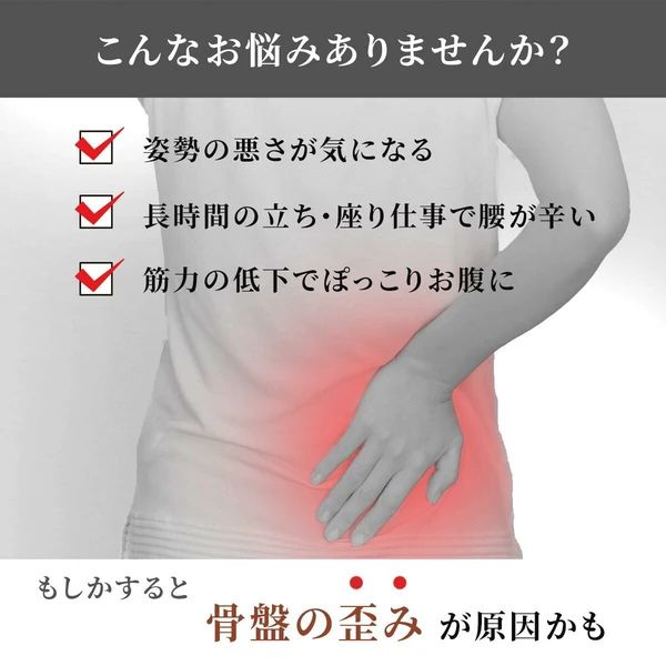 【マラソン中全品P3倍】 骨盤ベルト メッシュ W固定でしっかりサポート 通気性抜群...