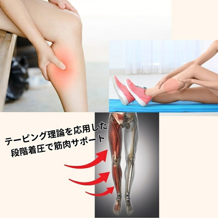 【高麗大学FORTIUM研究所】EMANA ふくらはぎ＆膝サポーター（片足分）黒 着圧 サポーター テーピングサポーター バレエ スポーツ ダンス リカバリー 疲労回復 血行促進 ひざ パフォーマンスアップ 韓国 エマナ テクノロジー アスリート 足の攣り防止 ひざの痛み