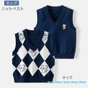 子供服 女の子 ニット ベスト 送料無料 学校 スクールニット vネック セーター 制服 ベスト 学生 フォーマル 入学式 男の子 女の子キッズ 子供ガールズ ...