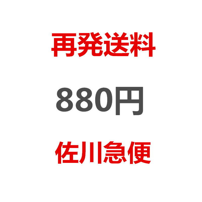 再発送料（佐川急便）