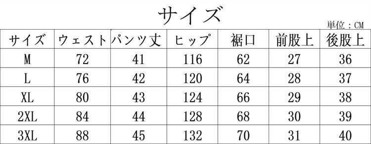 \送料無料/サーフパンツ メンズ 水着 メッシュインナー 短パン 男女兼用 ショート...