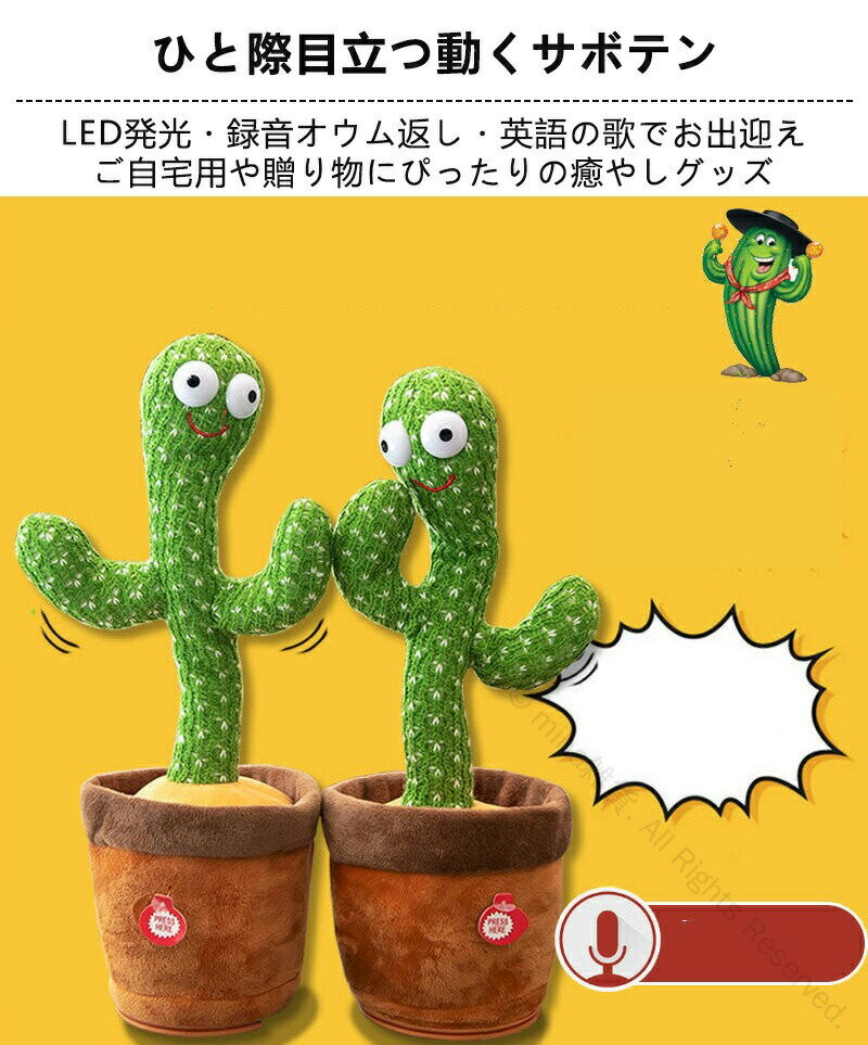 mihaߤ㤨٤륵ܥƥ ư Ͽǽդ Ѹβ ż  դη֤ ٥ӡ å ΰ Τ̤ ץ쥼Ȥ˺Ŭ ں ԡȵǽ Ļ  лˤ ˤפβǤʤ2,180ߤˤʤޤ