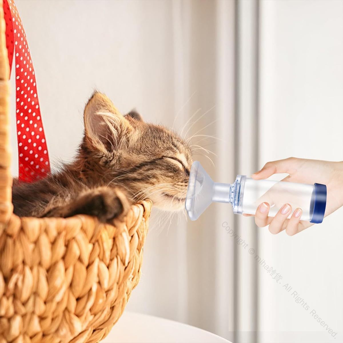 猫用吸入器スペーサー 吸入器エアロゾルチャンバー 猫 犬用ユニバーサルエアゾールチャンバー吸入器 ペ..