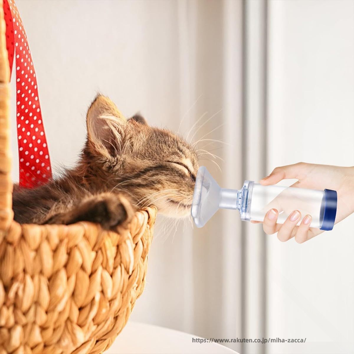 Rakuten - 猫用吸入器スペーサー 吸入器エアロゾルチャンバー 猫 犬用ユニバーサルエアゾールチャンバー吸入器 ペットの呼吸を助け薬を届ける再利用可能なハンドヘルド吸入器 獣医推奨