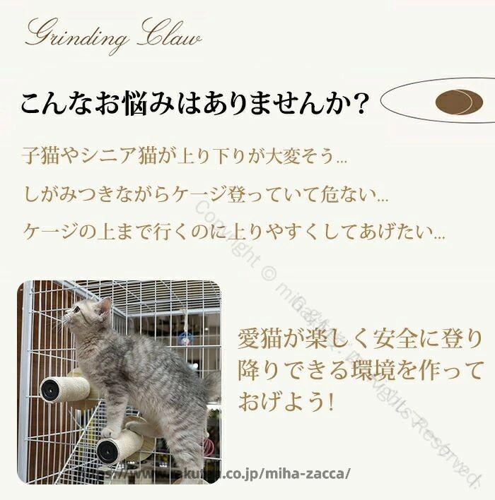 サンプル画像2