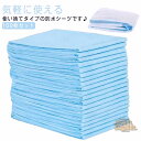 防水シーツ 介護 使い捨て 100枚入 布団 使い捨て おねしょシーツ 60×90cm 尿漏れ 介護用シーツ 敷パッド 防水パッド おねしょ対策 吸水シート 防...