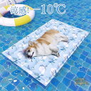 冷感マット 枕付き ペット ひんやりマット 犬 猫ひんやりマット あごのせ ペット冷却マット ジェルマット ペット用クールマット 冷感ごろ寝マット 背もたれ 夏用 冷却シート 熱中症 暑さ対策 水洗い可 多用途