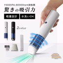 掃除機 コードレス 強力 ハンディークリーナー 水洗い USB充電 車載掃除機 強力吸引 ミニ小型 家庭掃除 掃除 軽量 強力 小型掃除機 ダニ 花粉 自宅 車内両用