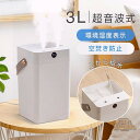 加湿器 大容量 超音波式 加湿器 デュアル噴霧口 3L スチーム式加湿器 自動停止機能 静音 おしゃれ 上から給水 省エネ 節電 エコ オフィス大活躍 湿度表示 シンプル 長時間加湿 冬の乾燥対策 室内 寝室 誕生日 新年 卓上