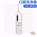 口腔洗浄器 ジェットウォッシャー 防水 電動 携帯用 口内洗浄機 230MLタンク ウォーターフロス USB充電式 携帯 口腔洗浄機 口コミ IPX7防水 ハン...