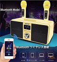 カラオケマイク カラオケマシン Bluetooth 歌う ワイヤレスマイク テレビ接続 2ハンドヘルドマイクAUX TFカード Uディスク ポータブルスピーカー カラオケ機器 カラオケ歌うマシン対応 プロフェッショナル 人気 ホームKTV 家庭用 カラオケ機器