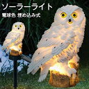 ソーラーライト 屋外 フクロウ 鳥よけ 鳩よけ 鳥対策 カラス対策 ガーデンライト 屋外用 ソーラー充電式 光センサー 自動点灯 照明 電飾 おしゃれ かわいい イルミネーションライト 埋め込み式 クリスマス 飾り付け 庭 玄関 オーナメント 装飾 風水 縁起