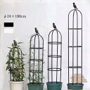 オベリスク 支柱 トレリス 高さ調節可能 24×180cm 操作簡単 金属製 簡易組立式 つる性植物 つる花 バラ用 ガーデン 支柱 花支え 花 園芸用品 バラ...