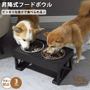 昇降式フードボウル犬用 食器台 高さ調節 折り畳み可能 早食い防止 ペット 犬 中型犬 大型犬 フードスタンド フードボウル 食器スタンド 犬用食器 皿 えさ ...